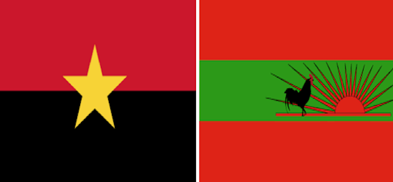 Comparative Summary of Electoral Reform Proposals – UNITA vs MPLA