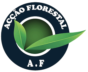 Marquee Logo